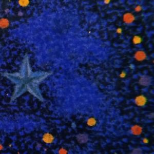 Meet your Posher, Kyra